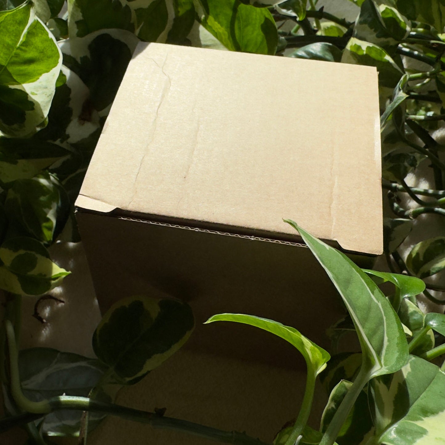 Fototasse Öltropfen