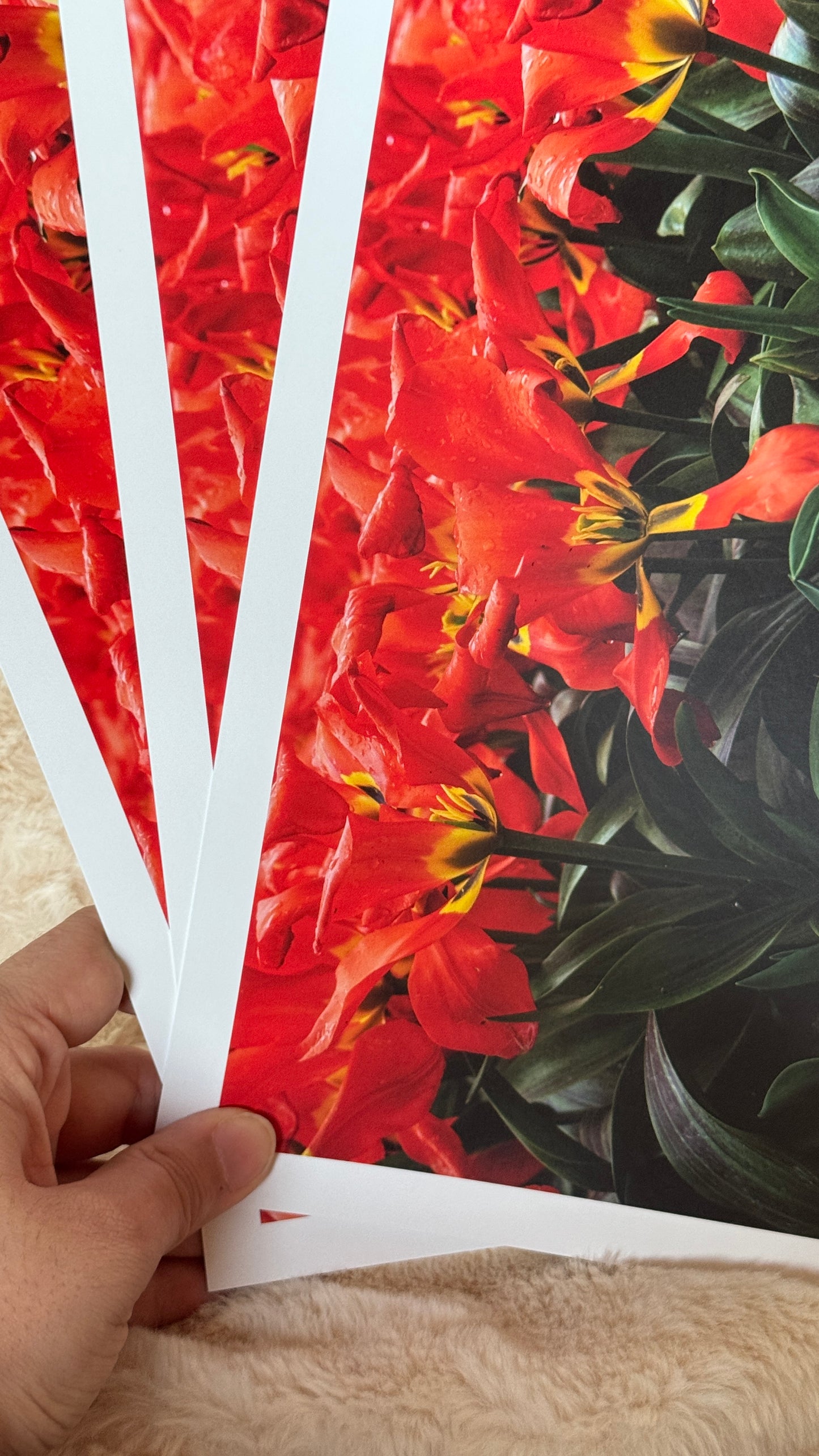 Kunstdruck Vergänglichkeit