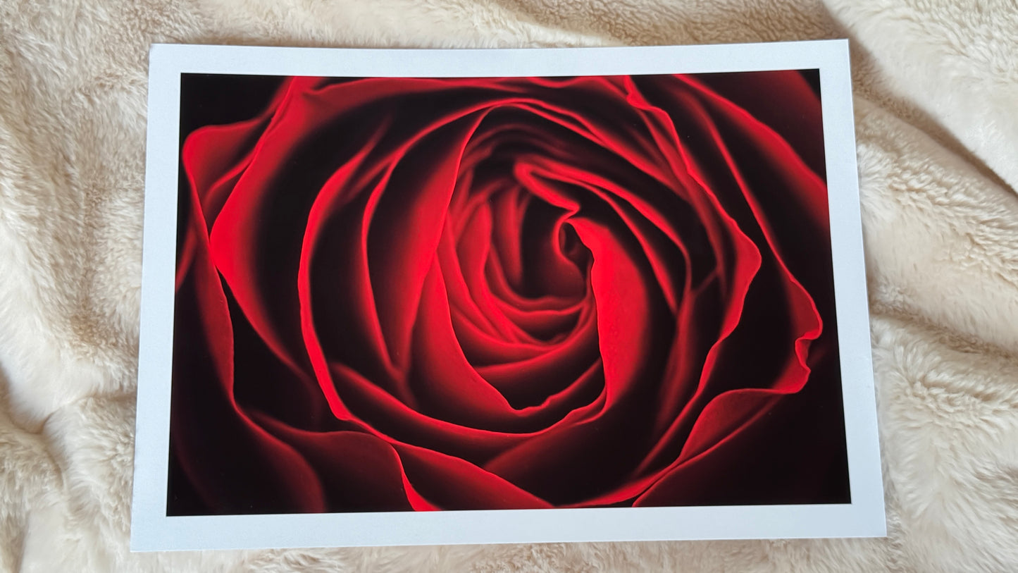 Kunstdruck Rote Eleganz