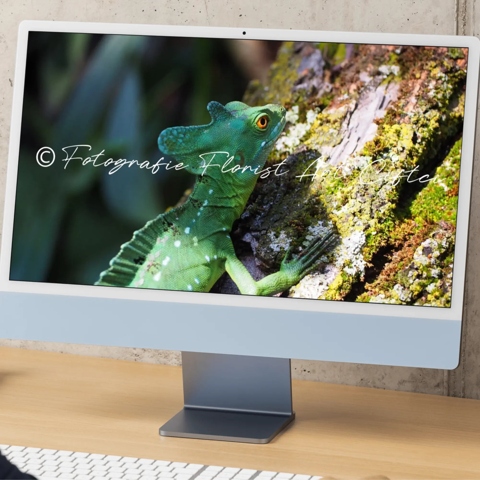 detailreiche Fotografie von einem Basilisk Fotografie Floral Art Ciftci