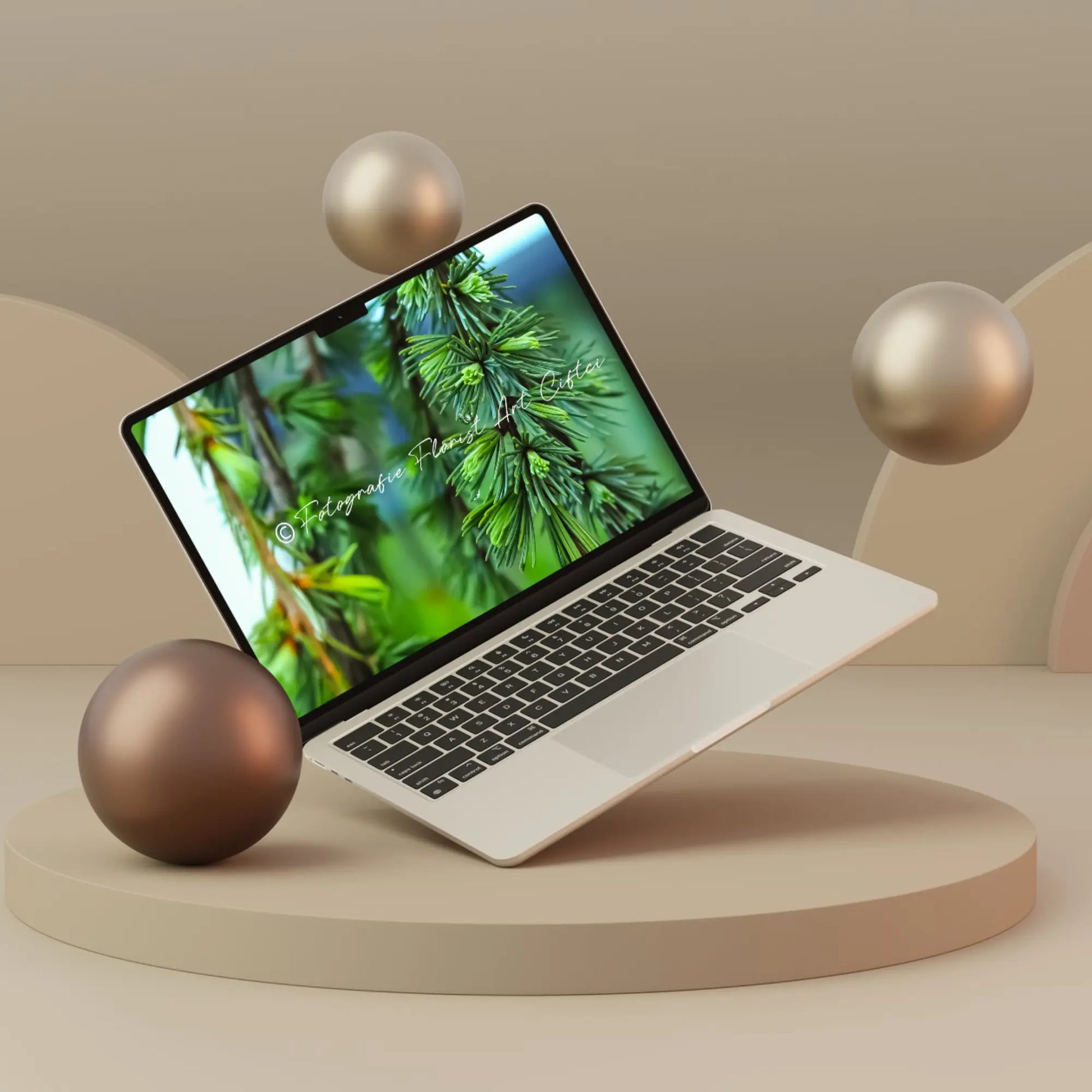 hochwertige Fotografie Wassertropfen Tanne Fotografie Floral Art Ciftci