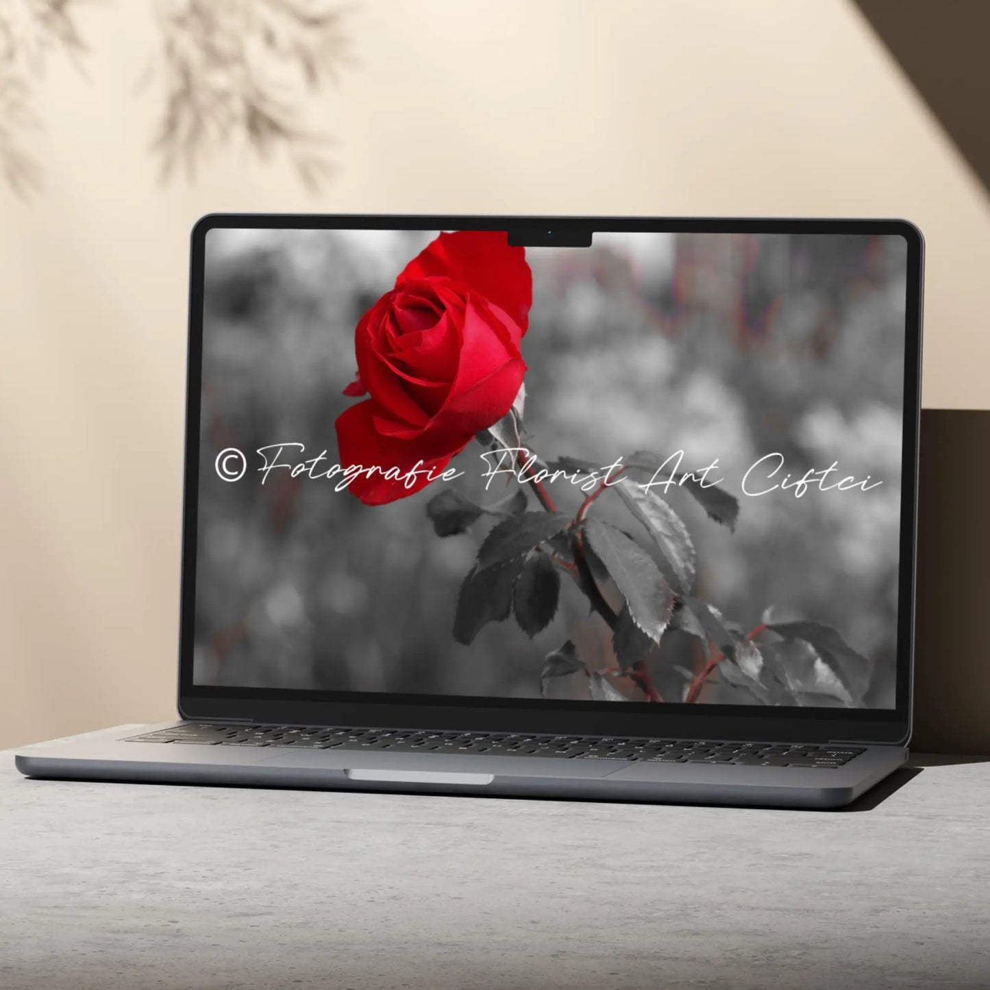 Fotografie Rote Rose Fotografie Floral Art Ciftci