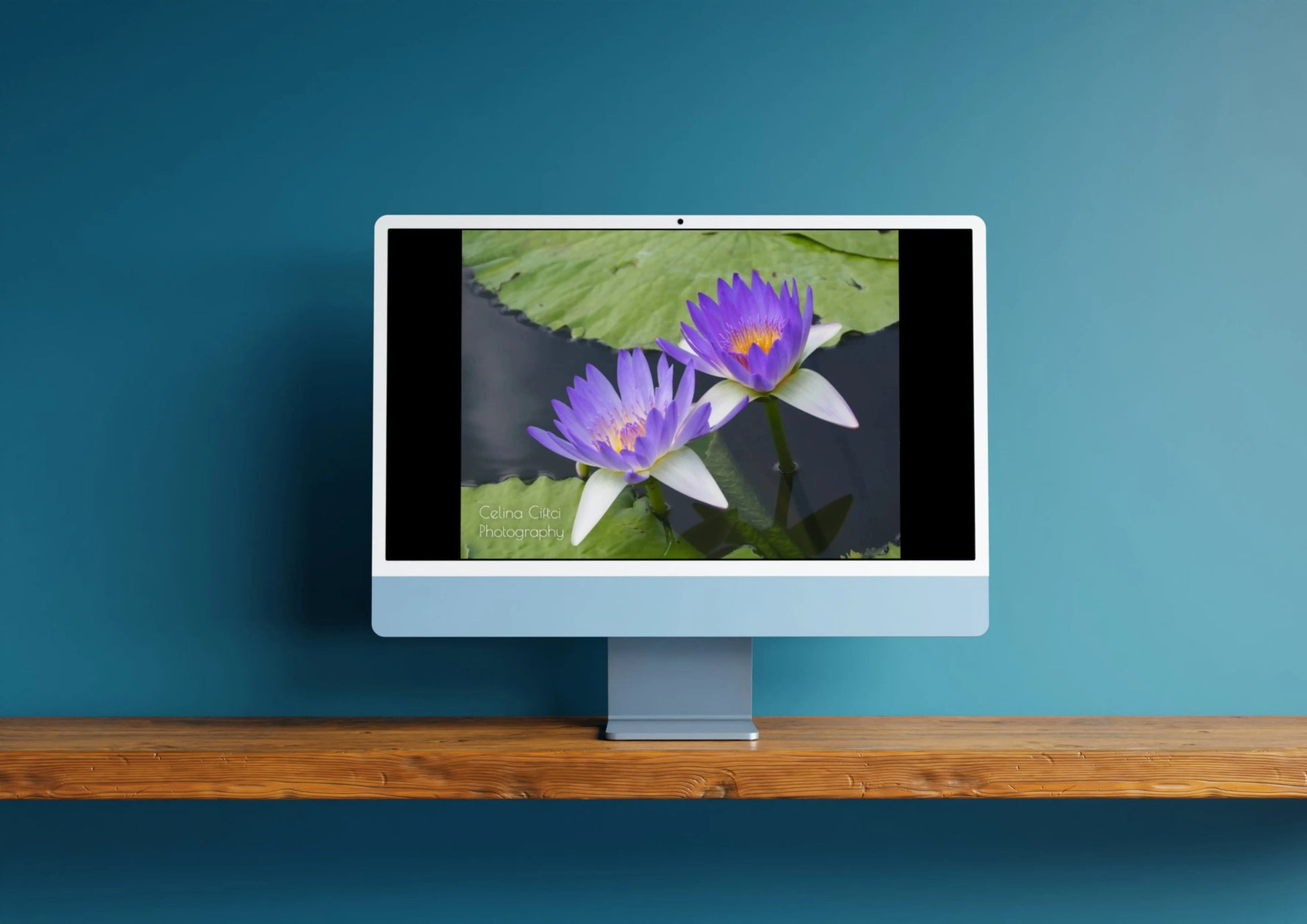 Fotografie von einer Seerose Fotografie Floral Art Ciftci