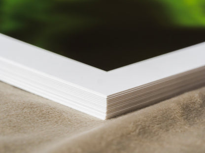 Kunstdruck Natur pur