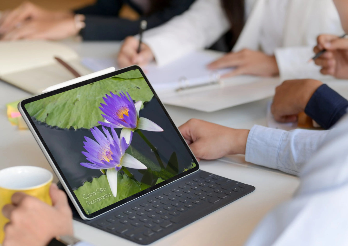 Fotografie von einer Seerose Fotografie Floral Art Ciftci