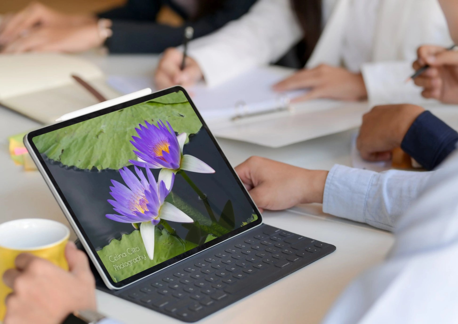 Fotografie von einer Seerose Fotografie Floral Art Ciftci
