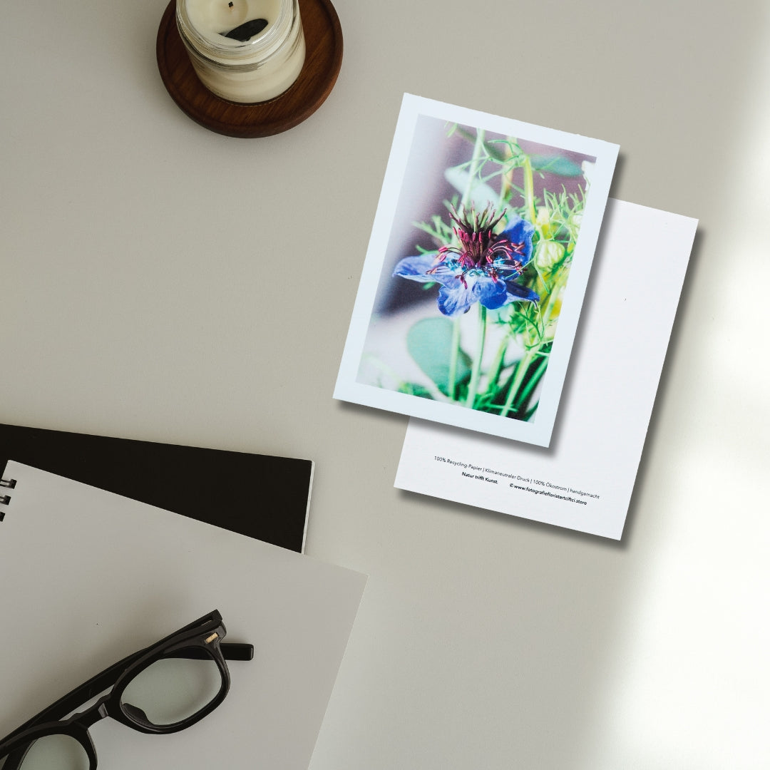 Postkarte Wildblume