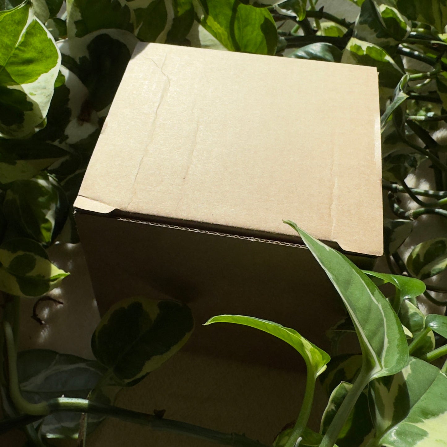 Fototasse Strömung der Sinne