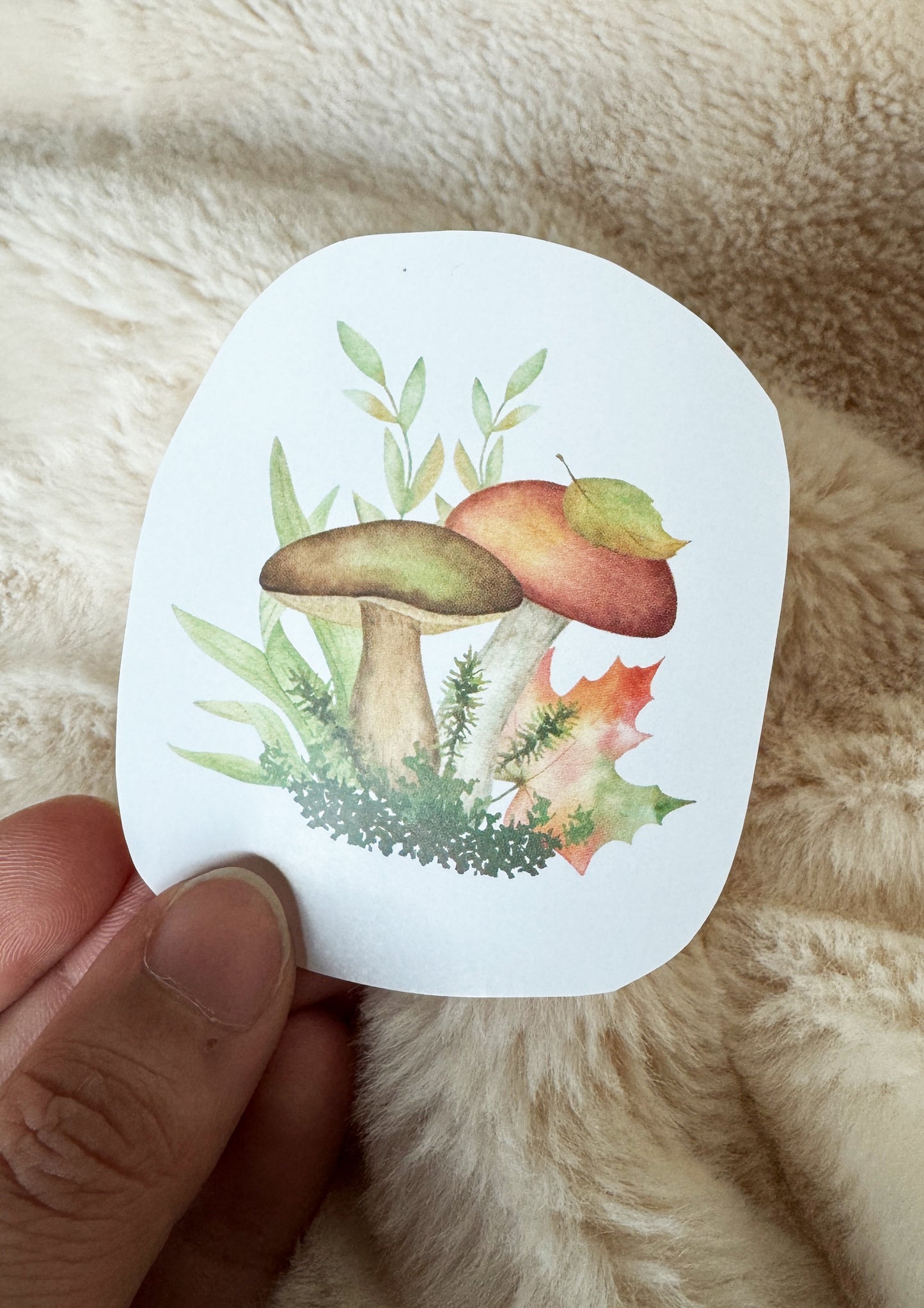 Sticker Pilz