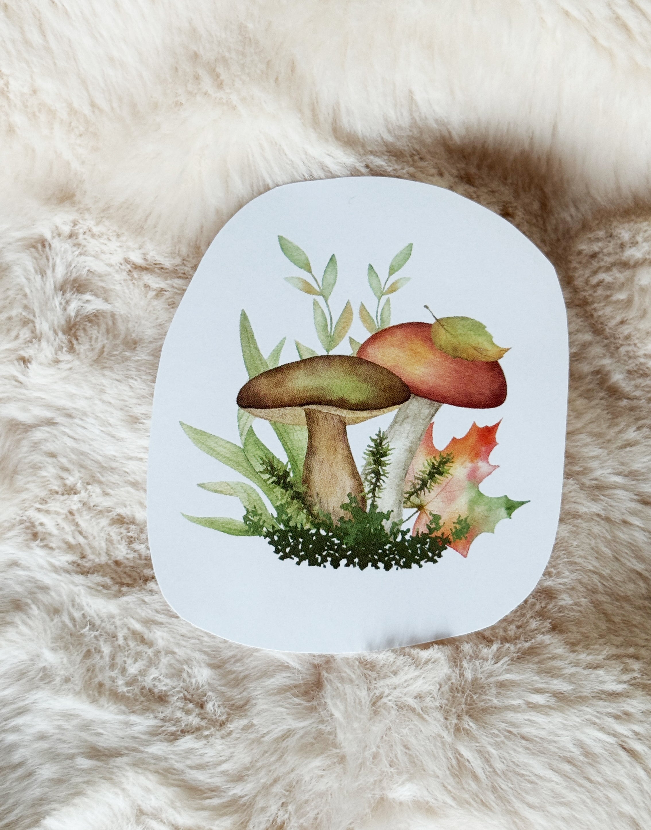 Sticker Pilz
