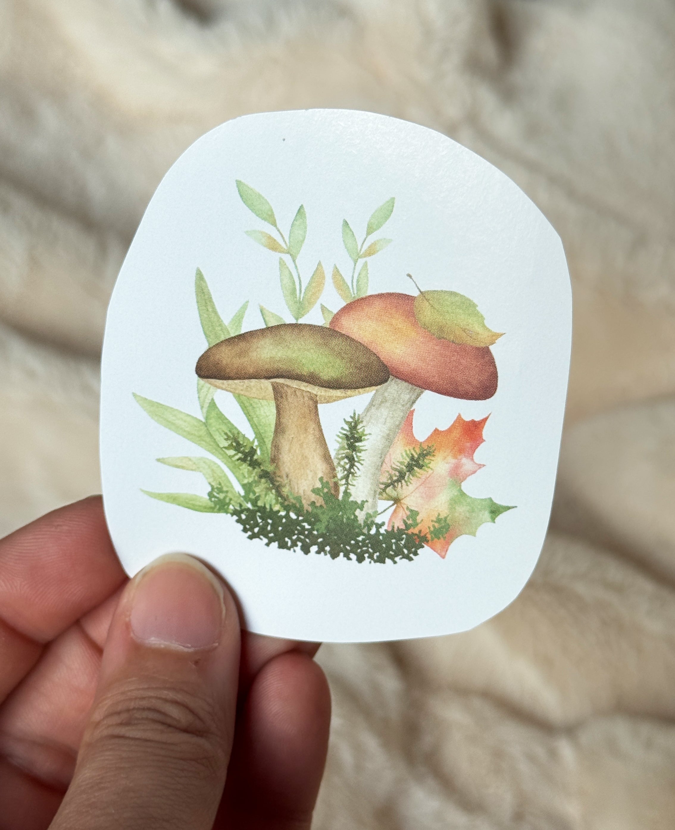 Sticker Pilz