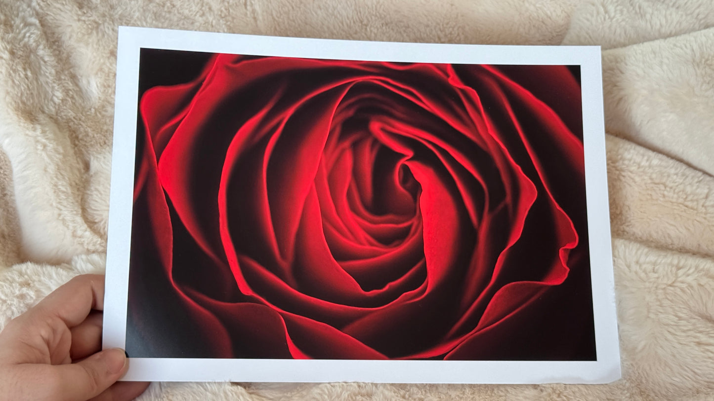 Kunstdruck Rote Eleganz