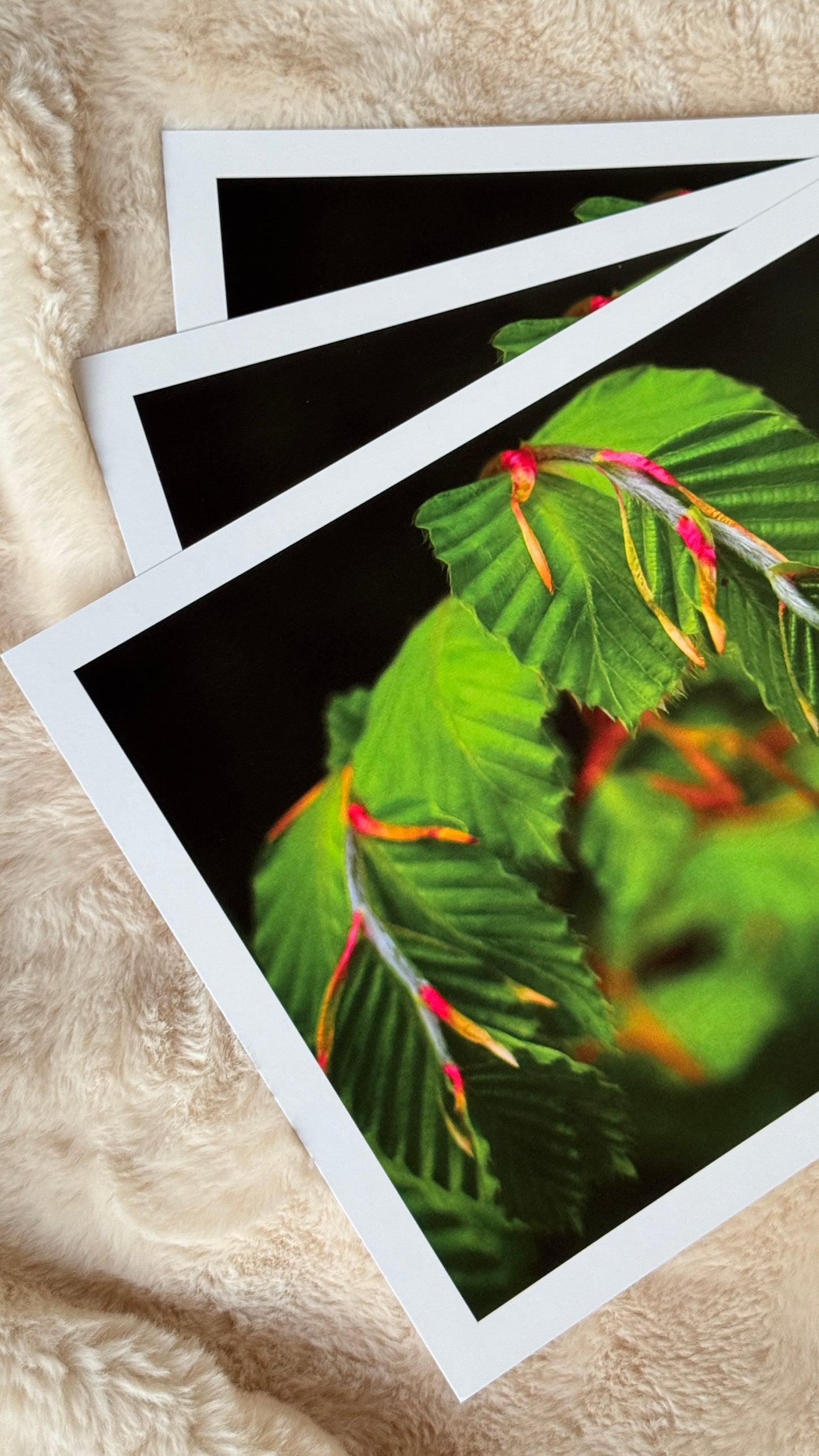 Kunstdruck Natur pur