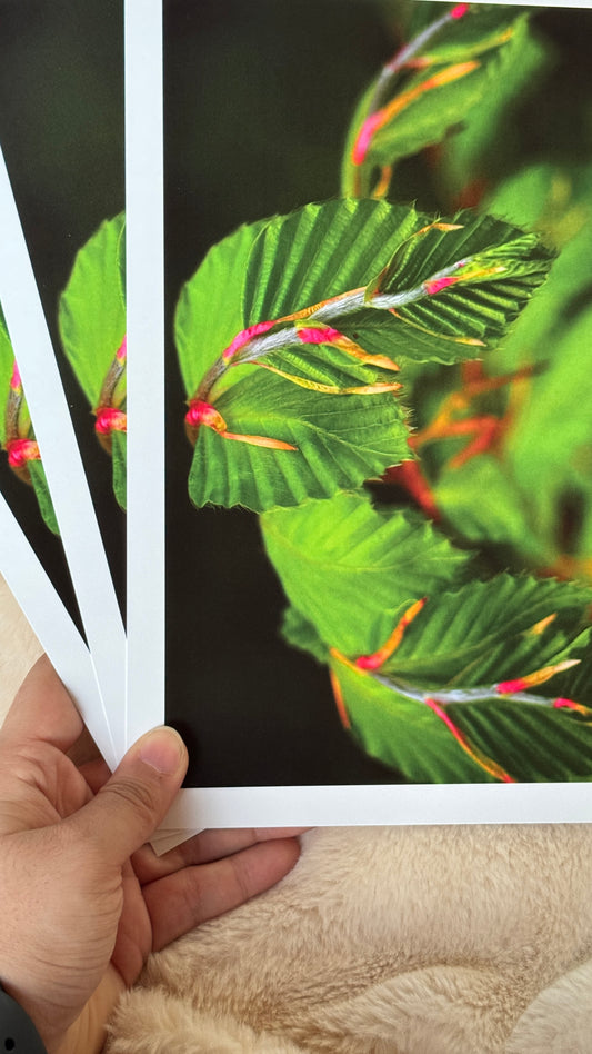 Kunstdruck Natur pur