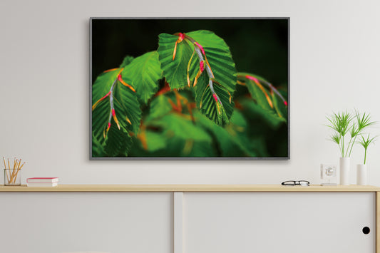 Kunstdruck Natur pur