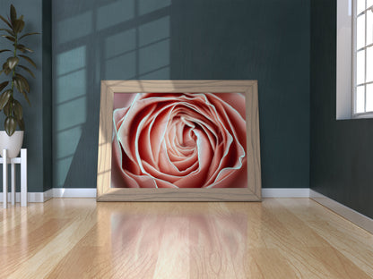 Kunstdruck Rose apricot A4