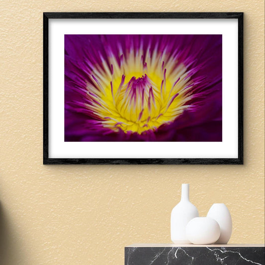 Kunstdruck „Seerose“ – A4 Fine Art Print auf Hahnemühle Photo Pearl 310 g (ohne Rahmen)