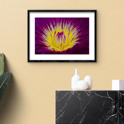 Kunstdruck „Seerose“ – A4 Fine Art Print auf Hahnemühle Photo Pearl 310 g (ohne Rahmen)