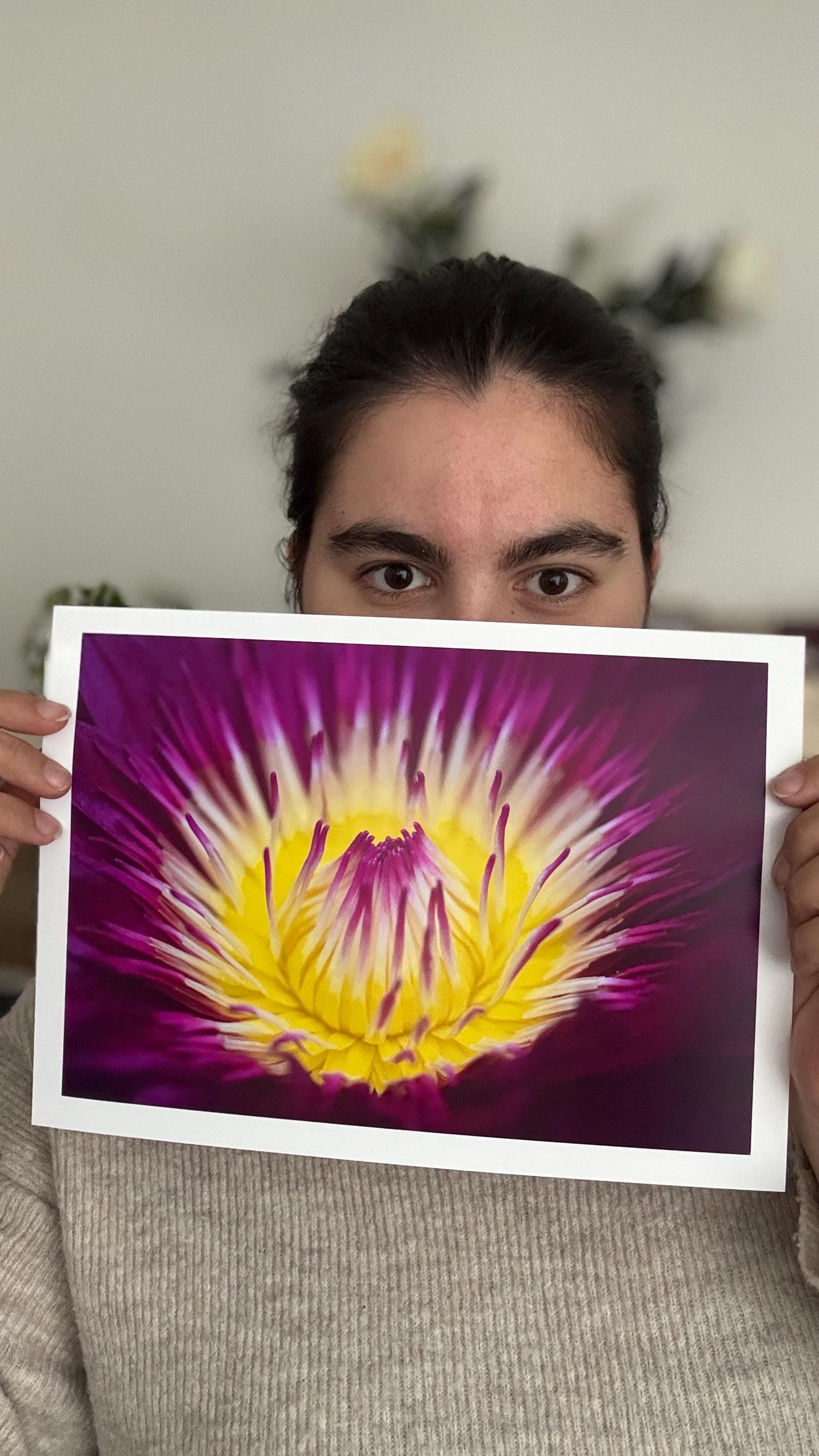 Kunstdruck „Seerose“ – A4 Fine Art Print auf Hahnemühle Photo Pearl 310 g (ohne Rahmen)