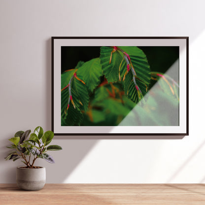 Kunstdruck Natur pur